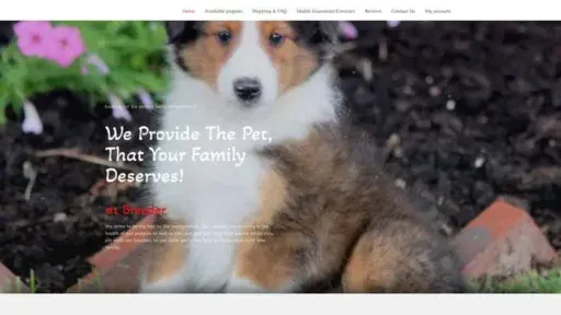 Screenshot of