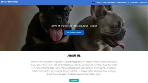 Screenshot of