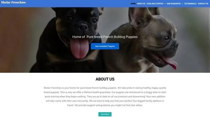 Screenshot of