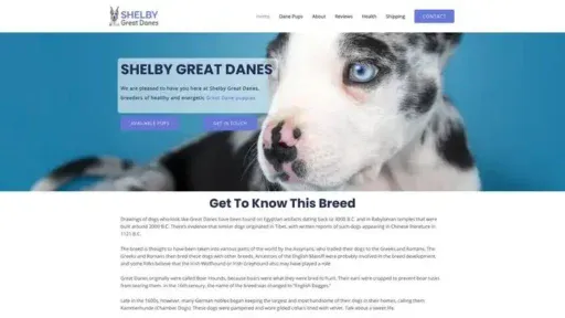 Screenshot of