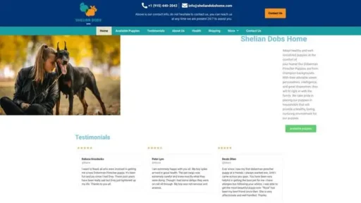 Screenshot of