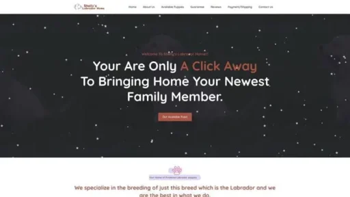 Screenshot of