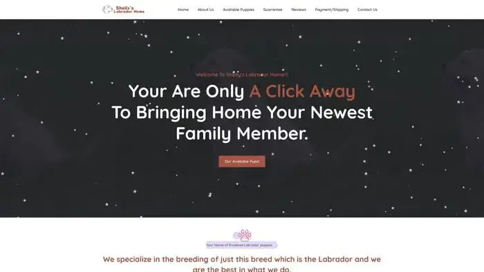 Screenshot of