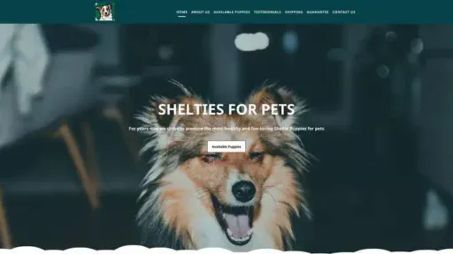 Screenshot of