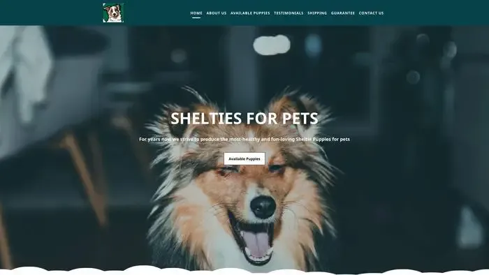 Screenshot of