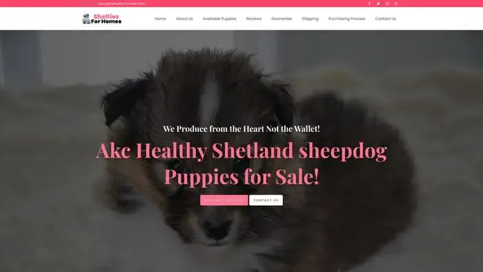 Screenshot of