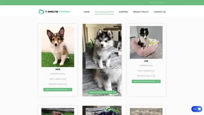 Screenshot of