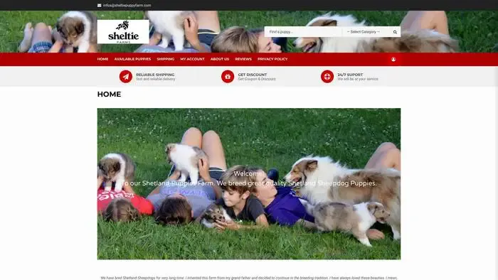 Screenshot of