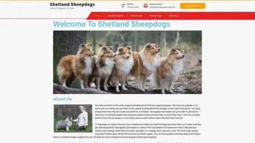 Screenshot of