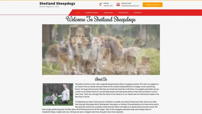 Screenshot of