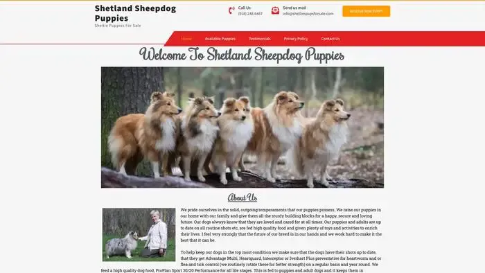 Screenshot of