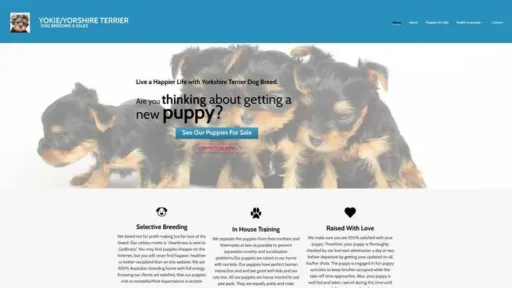 Screenshot of