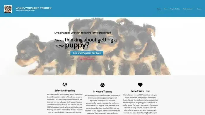 Screenshot of