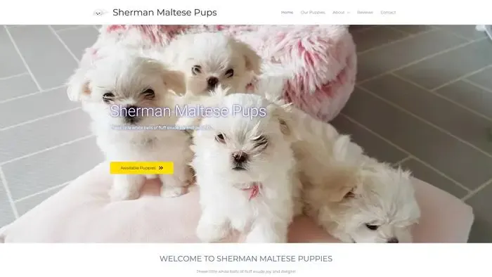 Screenshot of