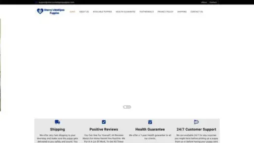 Screenshot of