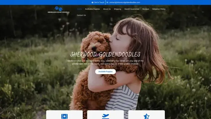 Screenshot of