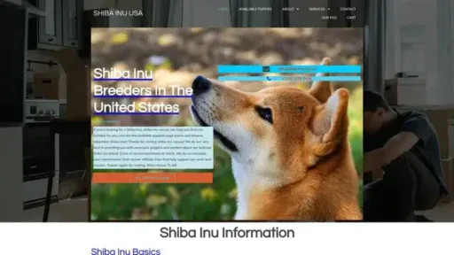 Screenshot of