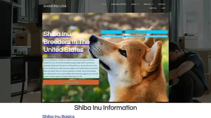 Screenshot of