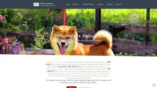 Screenshot of