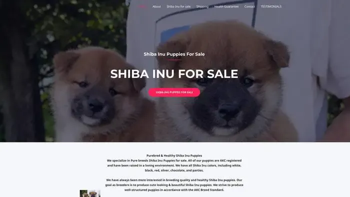 Screenshot of