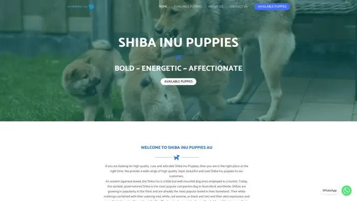 Screenshot of