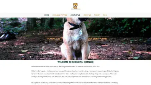 Screenshot of