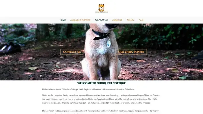 Screenshot of