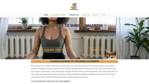 Screenshot of