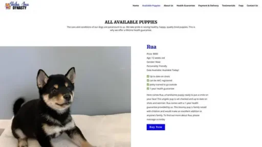 Screenshot of