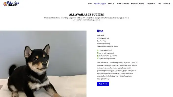 Screenshot of