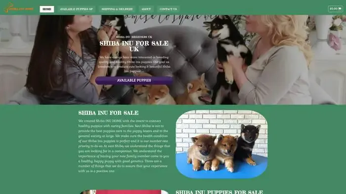 Screenshot of
