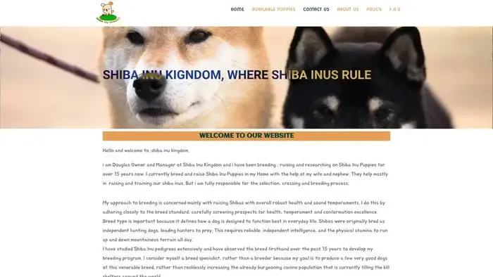 Screenshot of
