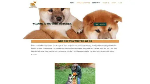 Screenshot of