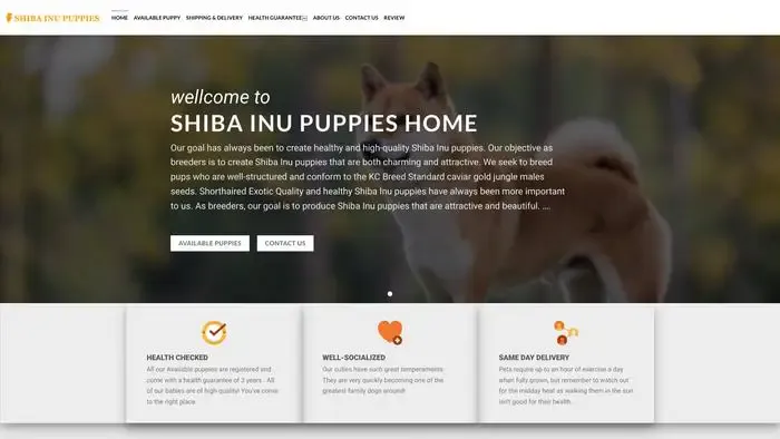Screenshot of