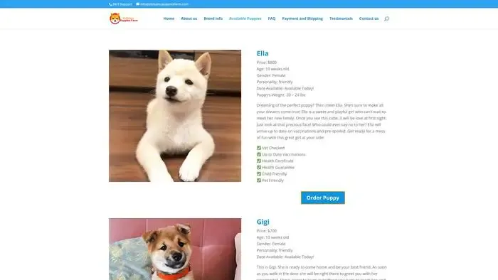 Screenshot of