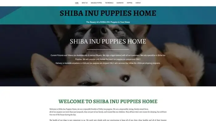 Screenshot of