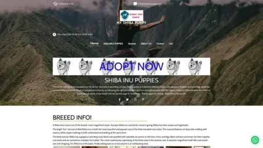Screenshot of