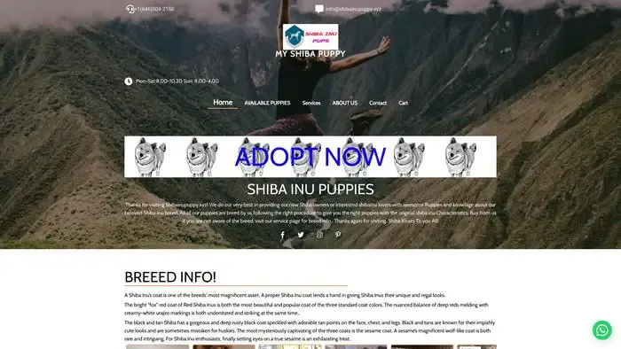 Screenshot of