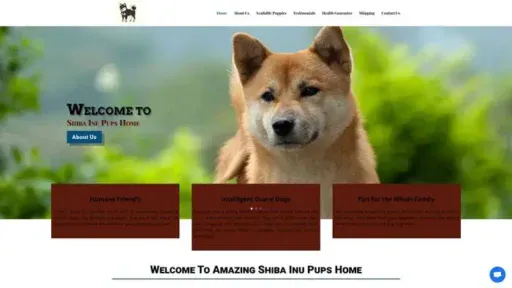 Screenshot of