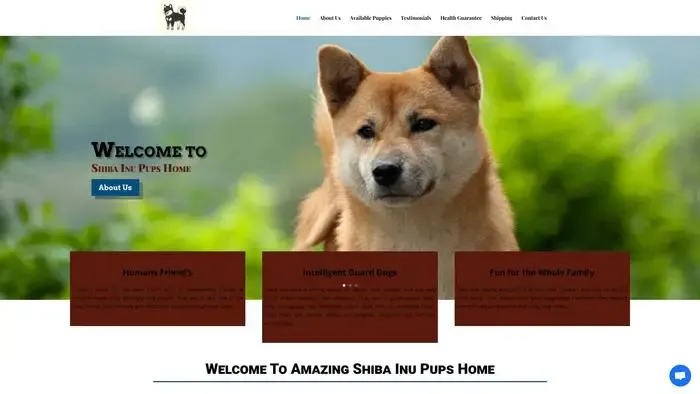 Screenshot of