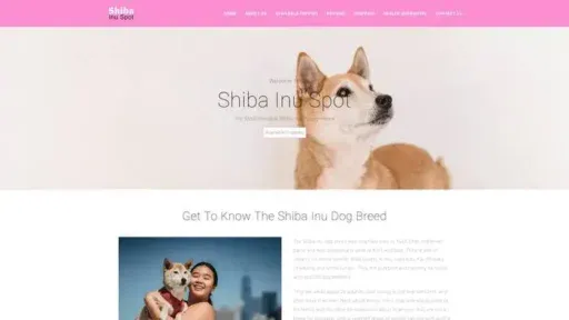 Screenshot of