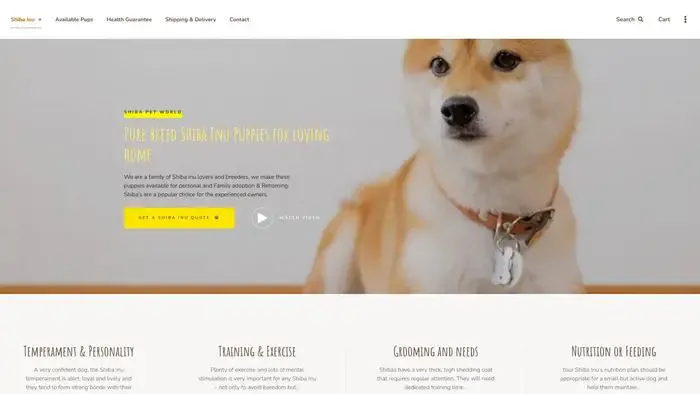 Screenshot of