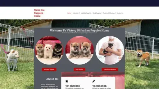 Screenshot of