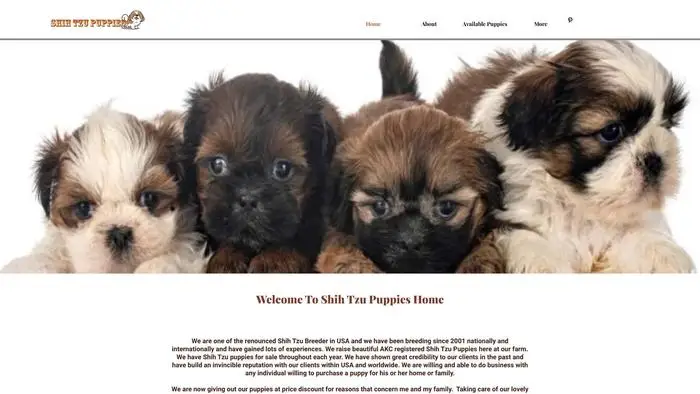 Screenshot of