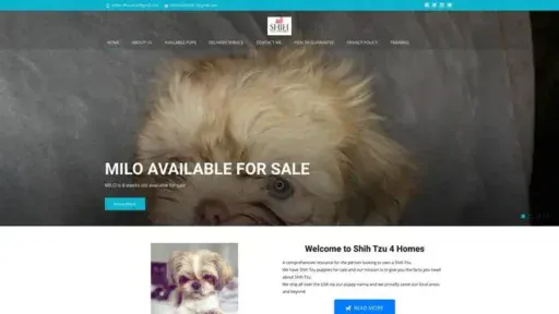 Screenshot of