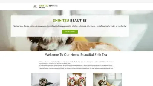 Screenshot of