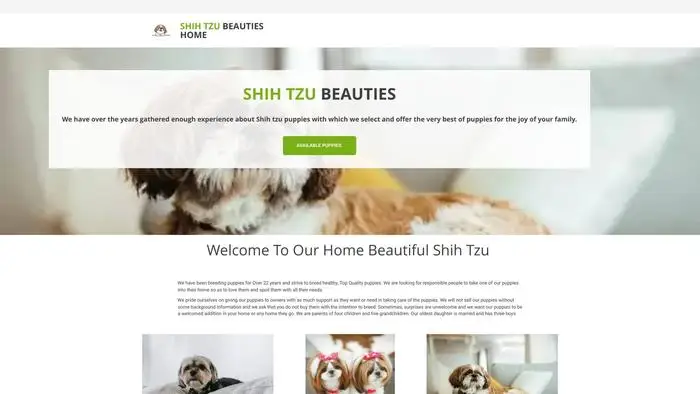 Screenshot of