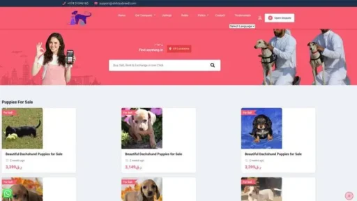 Screenshot of