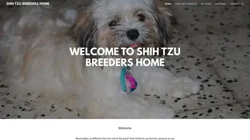 Screenshot of