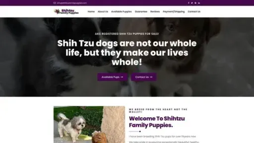 Screenshot of